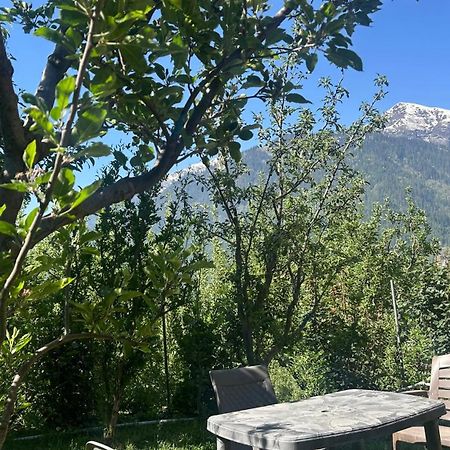 Sunface Homestay Manāli Extérieur photo