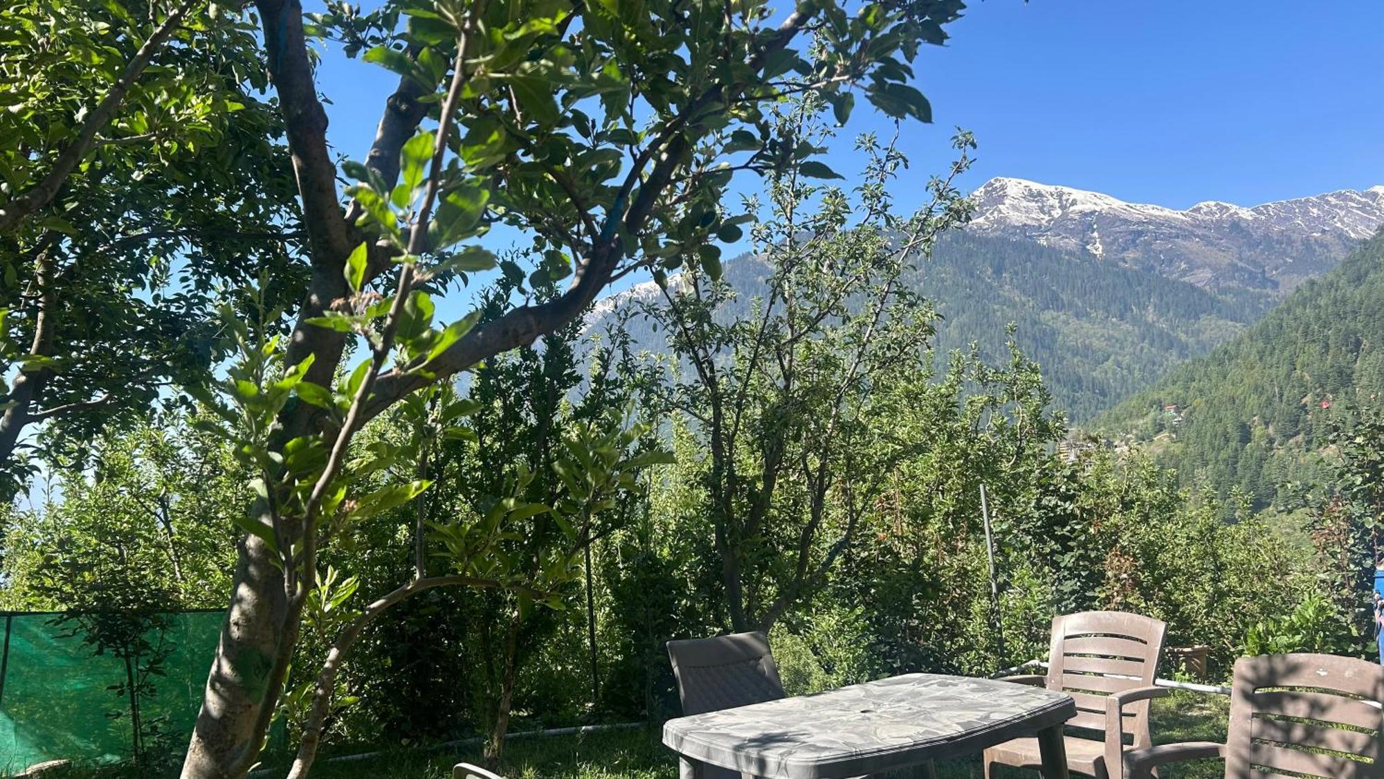 Sunface Homestay Manāli Extérieur photo